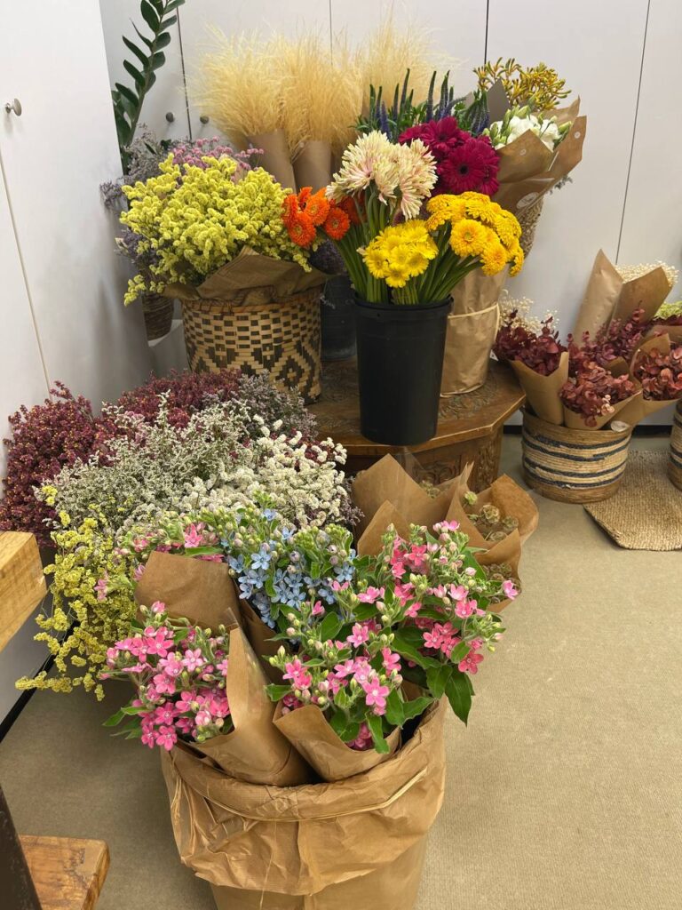 5913768855757504460 (1)